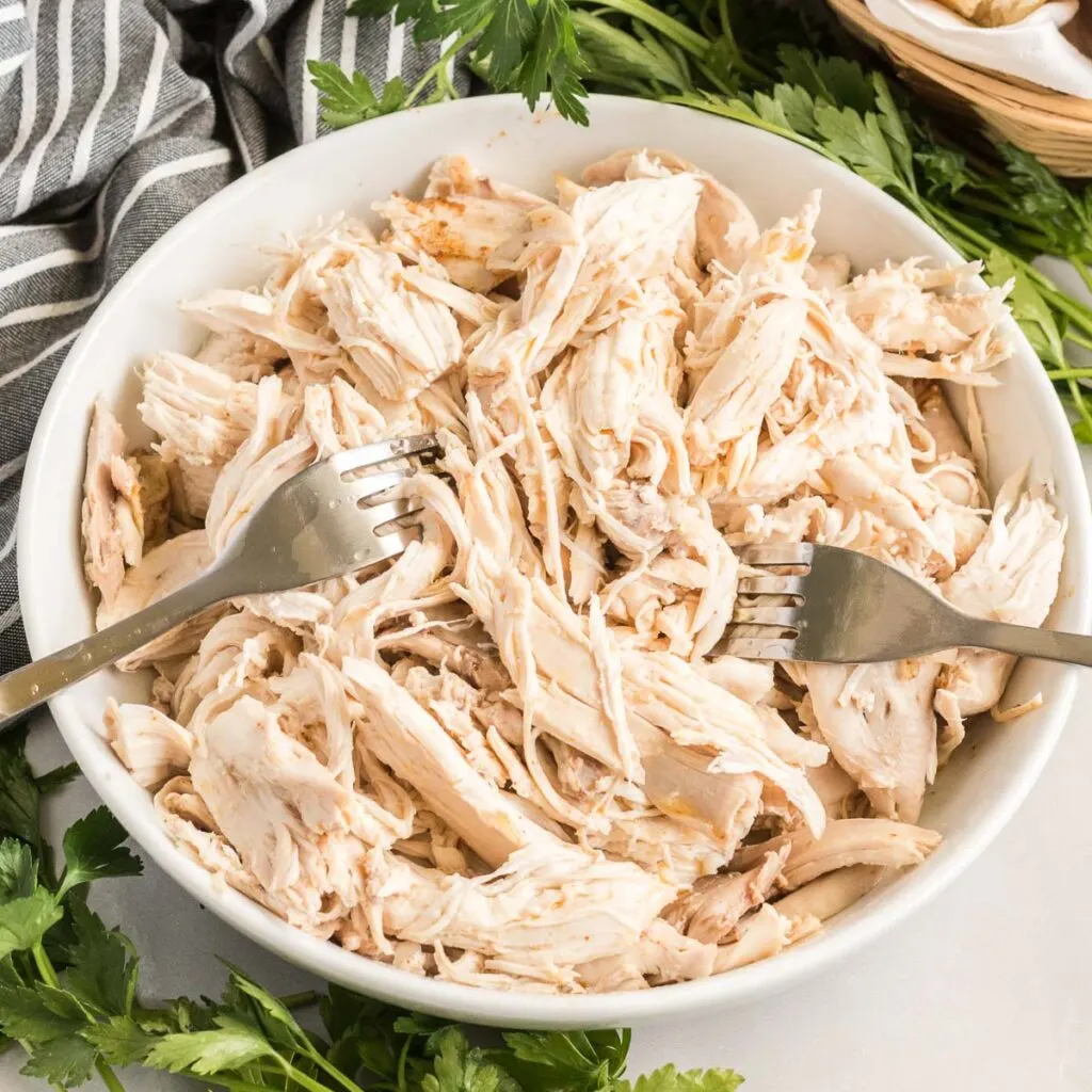Shredded chicken in a bowl with two forks.