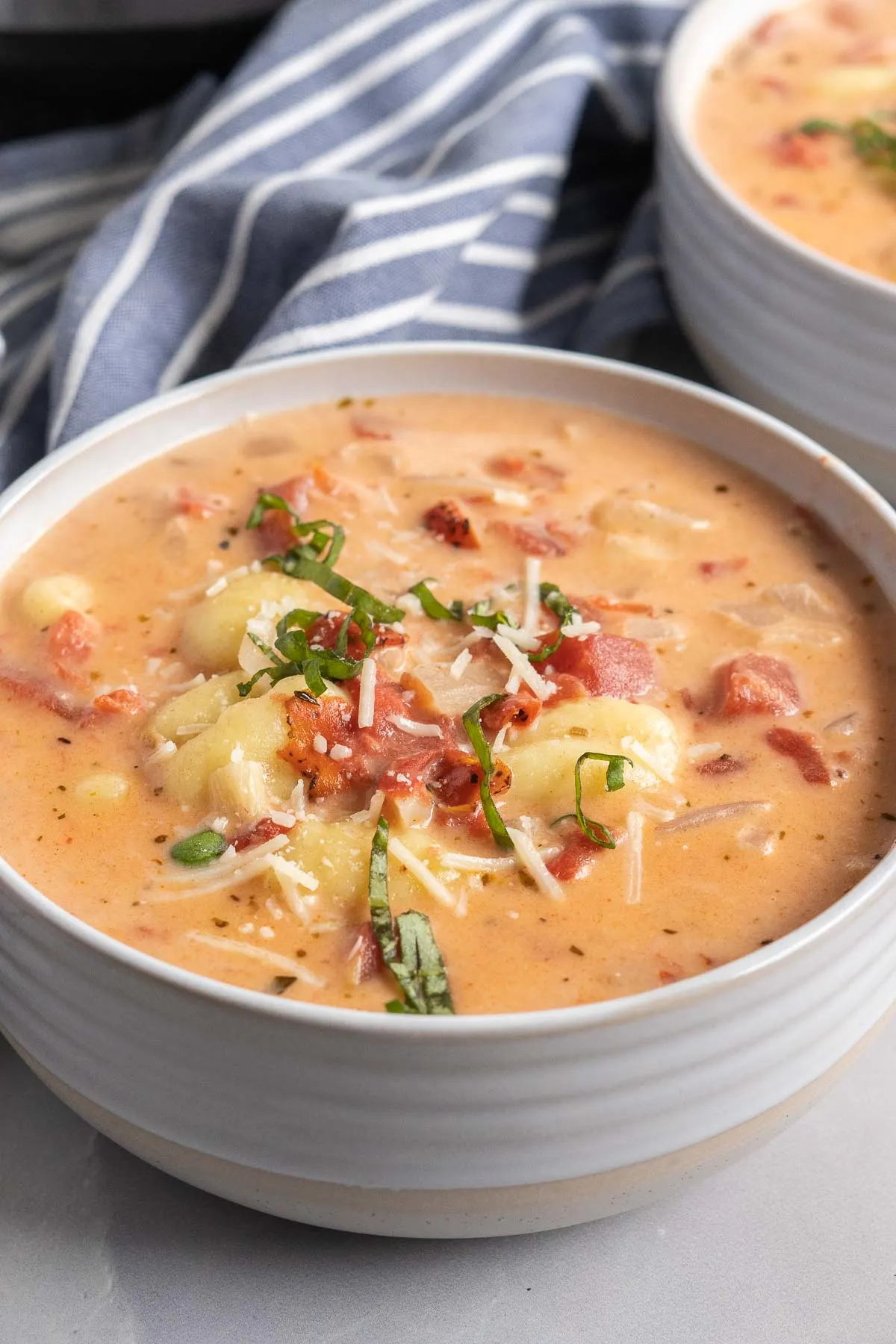 Bowl of soup with diced tomato, gnocchi, chopped basil and parmesan cheese.