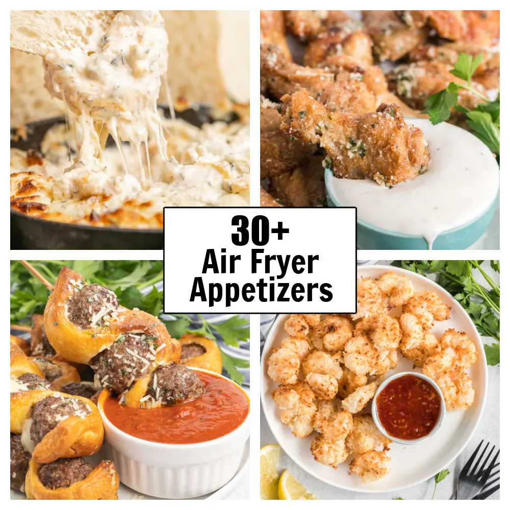 Air fryer 2024 appetizers recipes