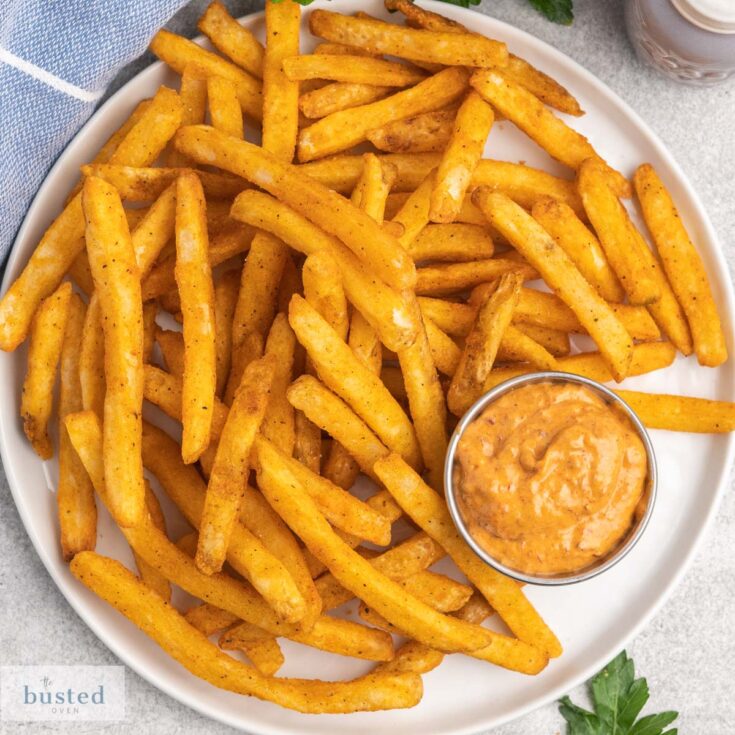 Air Fryer Frozen French Fries The Busted Oven